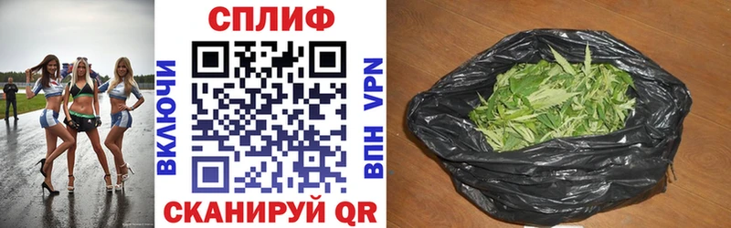 Купить  Стародуб  Бошки марихуана индика 